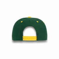GJ-5 dark green yellow wholesale 6-panel flat bill snapback hat back view