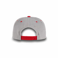 GJ-5 light grey red wholesale 6-panel flat bill snapback hat back view